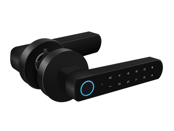 luchismart rear view